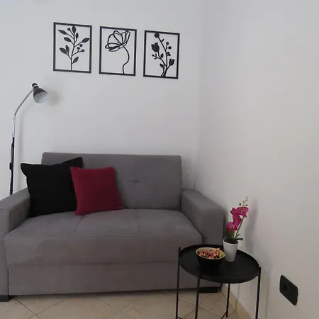 Erika * מדולין